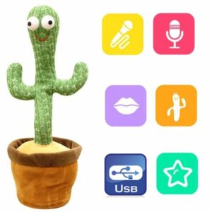 cactus dansant plaine