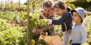 conseils éco-responsables pour les parents