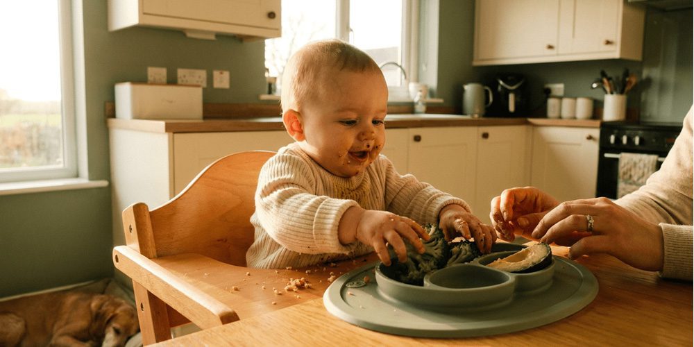baby in high chair eating blw