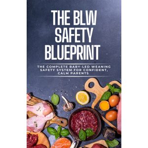the blw safety blueprint baby weaning program