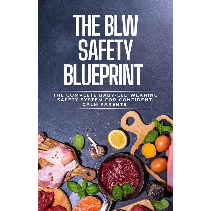 the blw safety blueprint baby weaning program