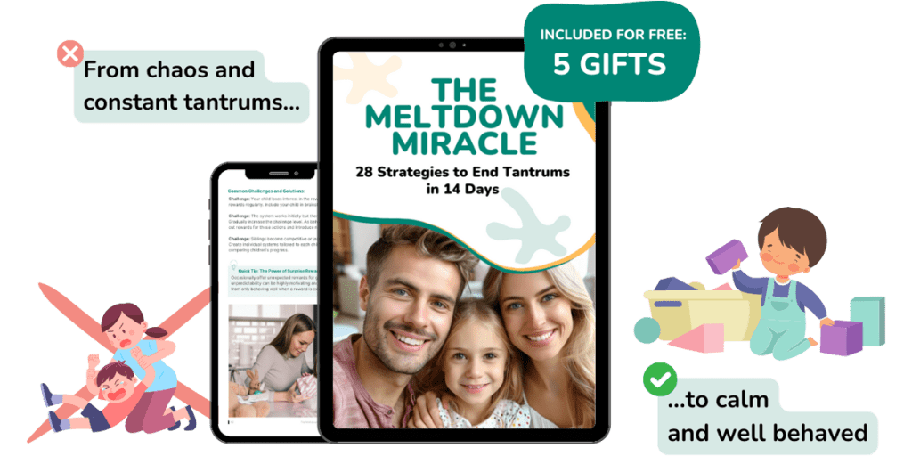 meltdown miracle main image